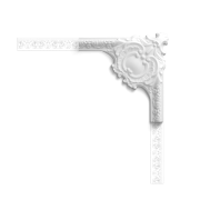 P3020A