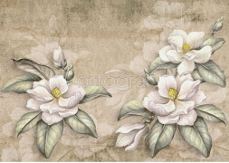 Фотообои/фрески 3D Эффект арт 6703 Графичные цветы