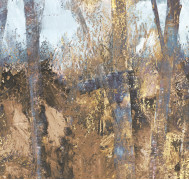 Thicket ETD6 010