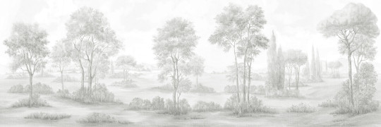Фотообои/фрески Affresco: Wallpaper part 3, арт. AF2311-COL5