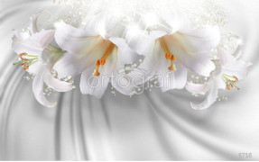 Фотообои/фрески 3D Эффект арт 6716 Белые лилии