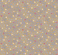 Bilberry Als6 004