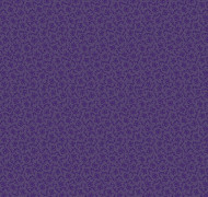 Curio V3 022