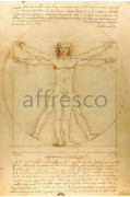 Фотообои/фрески Affresco Сюжеты , Графика арт. ID136454