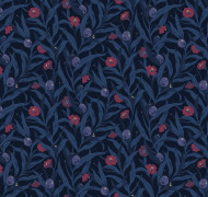 Willow-herb Als3 021