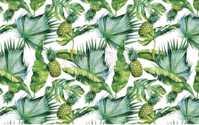 Фотообои/фрески Oasis арт. 32738 Pineapple