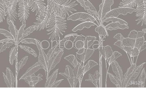 Фотообои/фрески 34529 Line flora