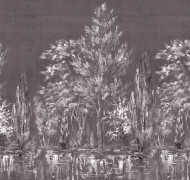 Ладога ART13 012