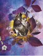 Фотообои/фрески 7014 The Owlsleys