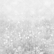 Фотообои/фрески Affresco Dream Forest, арт. IV37-COL5