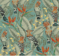 Hoopoe ETD7 006