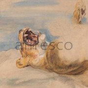 Фотообои/фрески Affresco Сюжеты , Животные арт. ID136550