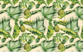 Фотообои/фрески Oasis арт. 32739 Pineapple sepia