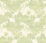 Bamboo Forest SAT31 005/1