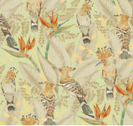 Hoopoe ETD7 002
