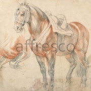 Фотообои/фрески Affresco Сюжеты , Животные арт. ID136560