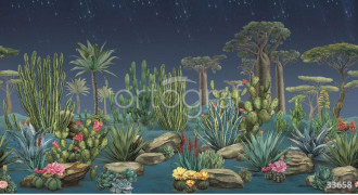 Фотообои/фрески 33658 Desert flora night