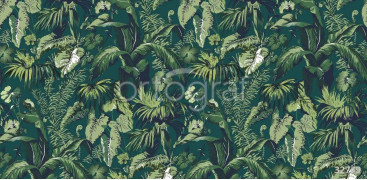 Фотообои/фрески Oasis арт. 32749 Exotic dark