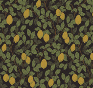 Citron QTR3 011