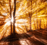 Fusion Illusion DF 002