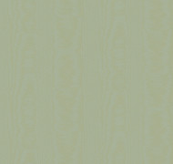 Classical moire V5 005/1