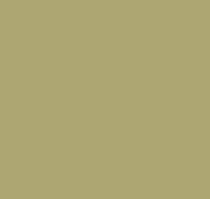 Plain AM3 005/4
