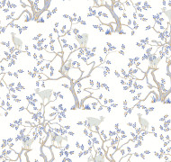Argania Als5 001