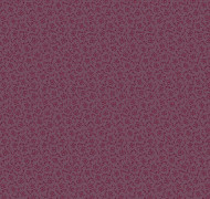Curio V3 020