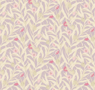 Willow-herb Als3 007