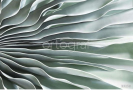 Фотообои/фрески 3D Эффект арт 33258 Макро тропики