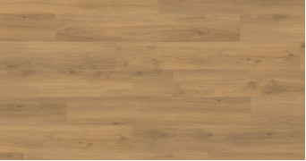 Ламинат Haro TRITTY 100 Campus 4V Дуб Эмилия Медовый