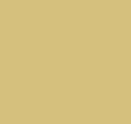 Plain AM3 004/1