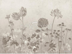 Фотообои/фрески 34741 Grey wildflowers