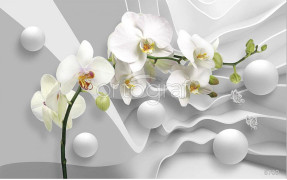 Фотообои/фрески 3D Эффект арт 6709 Орхидеи и шары
