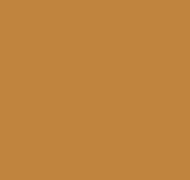Plain AM3 004/4