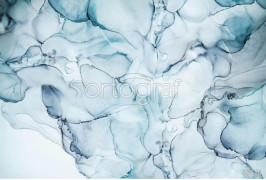 Фрески и фотообои Ortograf Флюиды арт. 33578 Красочные разводы