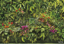 Фотообои/фрески Oasis арт. 32778 Green wall