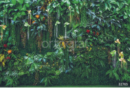 Фотообои/фрески Oasis арт. 32765 Oasis green