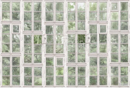 Фотообои/фрески Oasis арт. 32748 Orangery