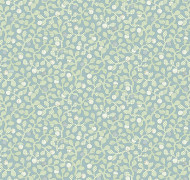 Bilberry Als6 006