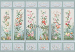Фотообои/фрески Affresco Сюжеты , Классические орнаменты арт. ID135708