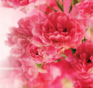 Floral 003