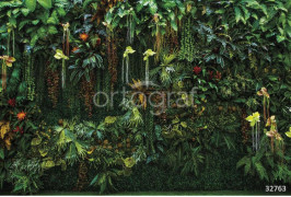 Фотообои/фрески Oasis арт. 32763 Oasis