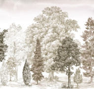 Балтийская коса ART14 012