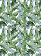 Фотообои/фрески Oasis арт. 32771 Banana leaves blue