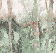 Thicket ETD6 005