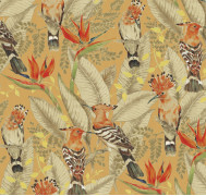 Hoopoe ETD7 003