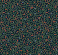 Bilberry Als6 021