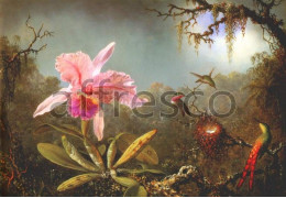 Фотообои/фрески Affresco Сюжеты , Натюрморт арт. 2067