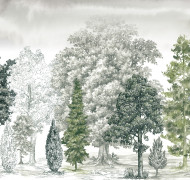 Балтийская коса ART14 005/1